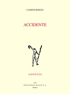 cover image of Accidente